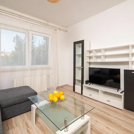 Apartment Awesome In With Wifi *